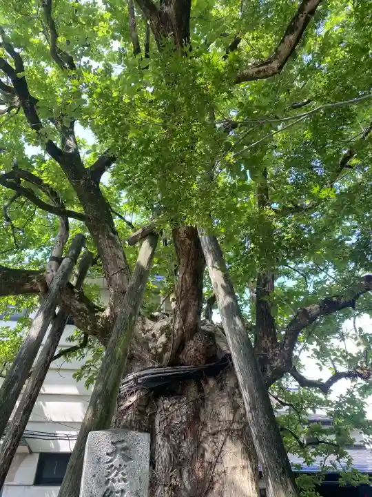 太宰府天満宮(福岡県)