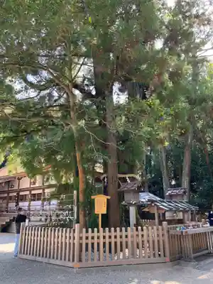 大神神社(奈良県)