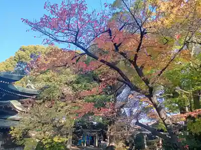 生根神社(大阪府)