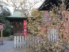 雷電神社(群馬県)