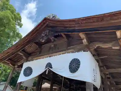 土佐神社の本殿・本堂