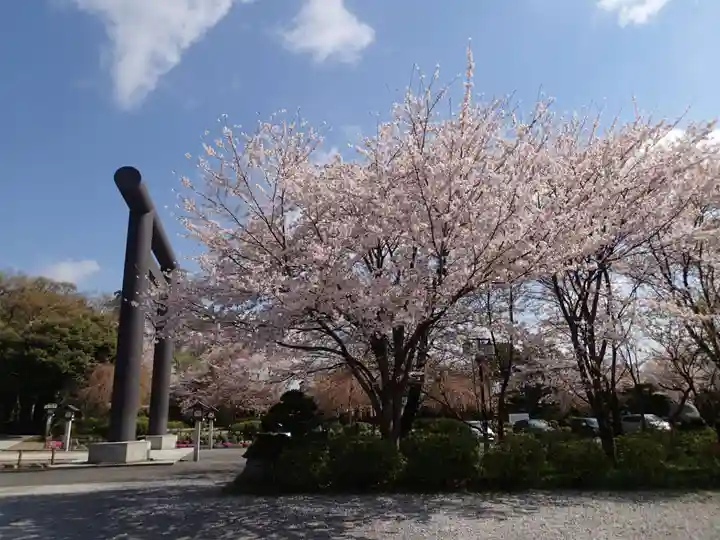 櫻木神社の自然