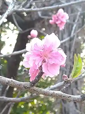足高神社の自然