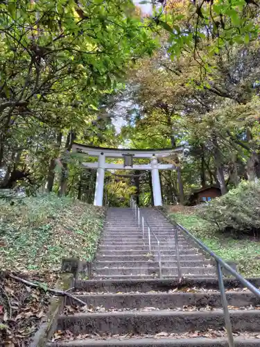 宝登山神社奥宮(埼玉県)