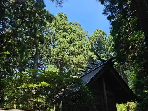 赤城神社(三夜沢町)(群馬県)