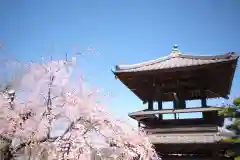 円光寺の建物その他