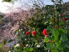 西雲寺(福井県)