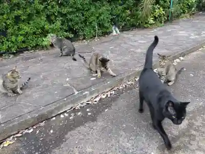 清泰寺(岐阜県)