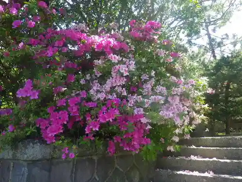 安國論寺（安国論寺）の自然