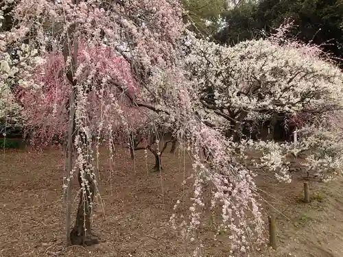 道明寺天満宮の庭園