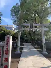 熊野神社(東京都)