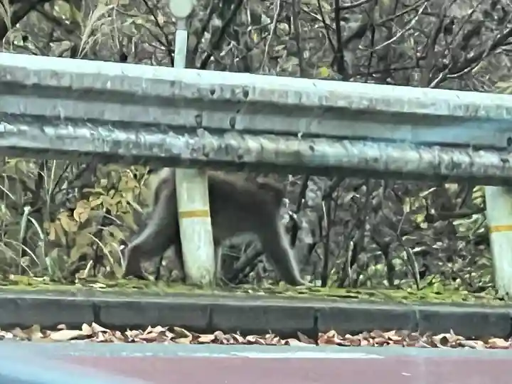 九頭龍神社(東京都)
