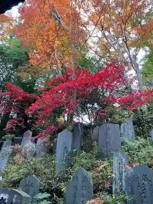 高尾山薬王院のその他建物