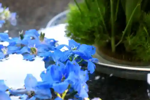 三津厳島神社の自然