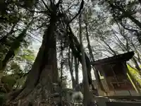 大山祗神社の自然