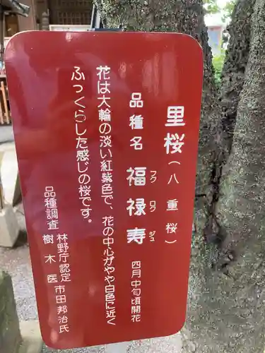 七社神社の歴史