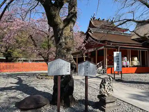 富士山本宮浅間大社(静岡県)