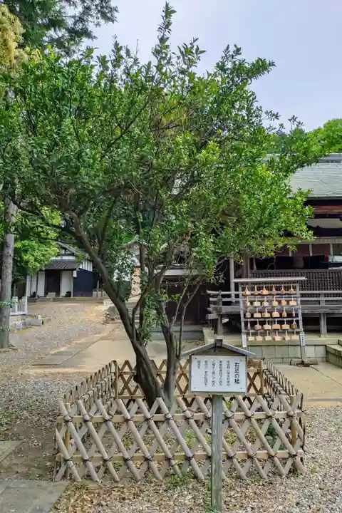 上地八幡宮の庭園