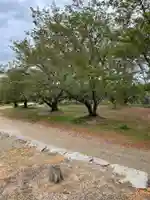 貴船神社の自然
