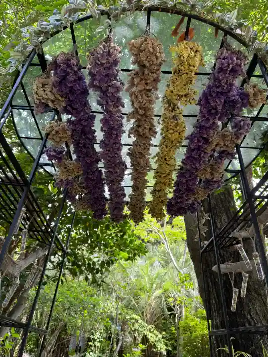 江島神社(神奈川県)