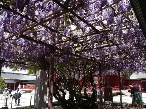 笠間稲荷神社の庭園