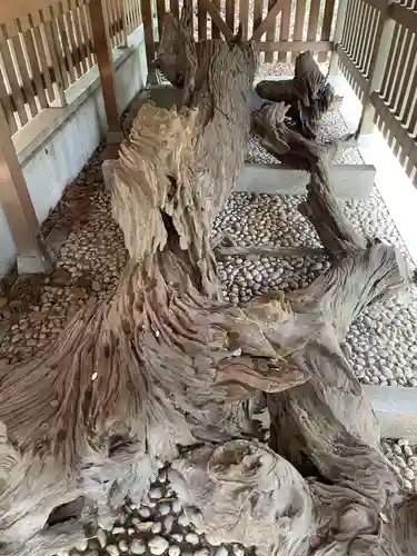自凝島神社(兵庫県)