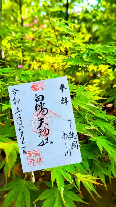 白幡天神社の御朱印