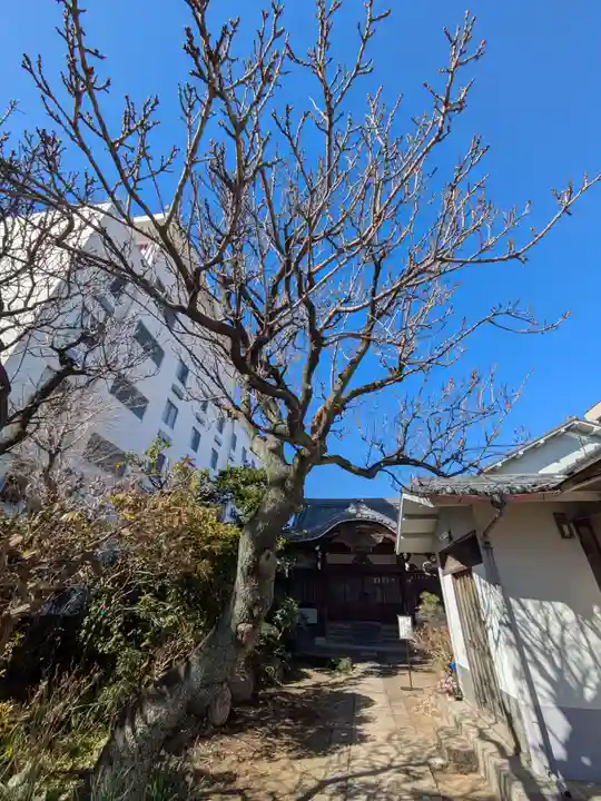 蓮乗院(東京都)