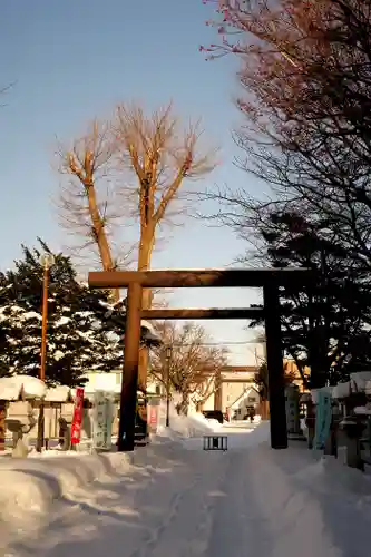 豊栄神社の鳥居