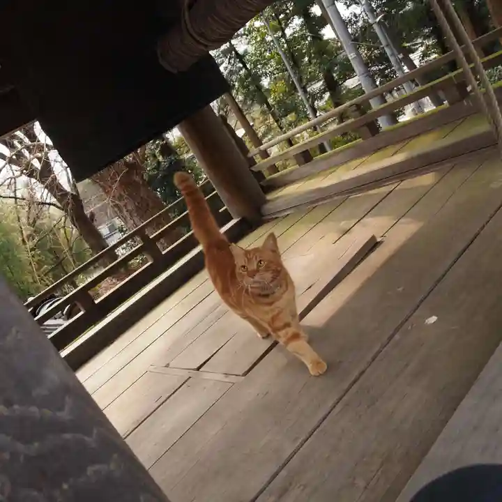 天王山 安楽寺(福井県)