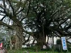 野島神社(宮崎県)