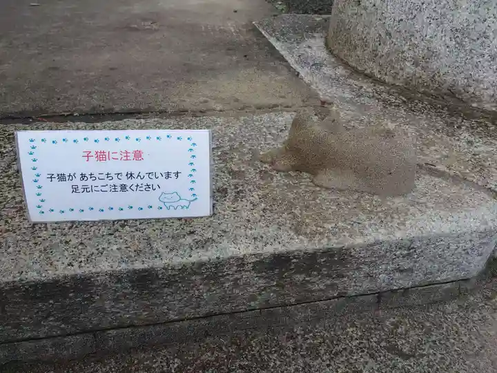 玉敷神社のその他建物