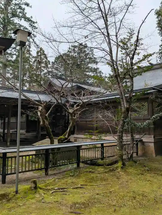 出石神社の{uncategorized: "未分類", other: "その他", undefined: "問題あり", building: "その他建物", grave: "お墓", sacred_gate: "鳥居", guardian: "狛犬", statue: "像", buddha: "仏像", history: "歴史", nature: "自然", garden: "庭園", animal: "動物", pagoda: "塔", temizu: "手水舎", mountain_gate: "山門・神門", sanctuary: "本殿・本堂", subordinate: "末社・摂社", art: "芸術", scenery: "景色", jizo: "地蔵", ema: "絵馬", goshuin: "御朱印", omikuji: "おみくじ", items: "授与品その他", amulet: "お守り", goshuincho: "御朱印帳", eats: "食事", festival: "お祭り", votive_dance: "神楽", shichigosan: "七五三参", wedding: "結婚式", experience: "体験その他", initially: "初詣", around: "周辺", anti_infection: "感染症対策"}