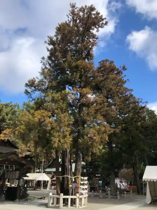 建部大社の{uncategorized: "未分類", other: "その他", undefined: "問題あり", building: "その他建物", grave: "お墓", sacred_gate: "鳥居", guardian: "狛犬", statue: "像", buddha: "仏像", history: "歴史", nature: "自然", garden: "庭園", animal: "動物", pagoda: "塔", temizu: "手水舎", mountain_gate: "山門・神門", sanctuary: "本殿・本堂", subordinate: "末社・摂社", art: "芸術", scenery: "景色", jizo: "地蔵", ema: "絵馬", goshuin: "御朱印", omikuji: "おみくじ", items: "授与品その他", amulet: "お守り", goshuincho: "御朱印帳", eats: "食事", festival: "お祭り", votive_dance: "神楽", shichigosan: "七五三参", wedding: "結婚式", experience: "体験その他", initially: "初詣", around: "周辺", anti_infection: "感染症対策"}