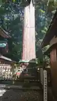 事任八幡宮の自然