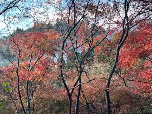 武蔵御嶽神社(東京都)