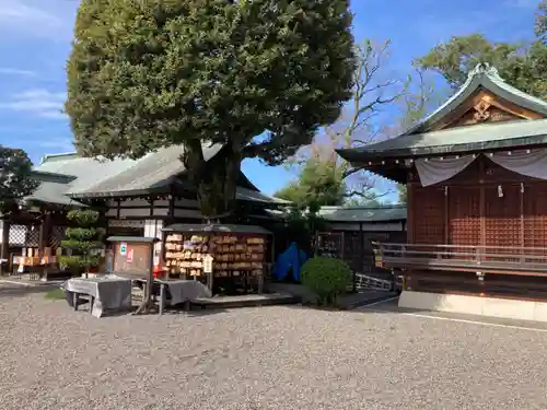 足利織姫神社(栃木県)