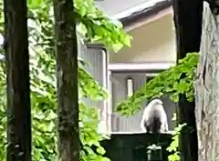 雄山神社中宮祈願殿(富山県)