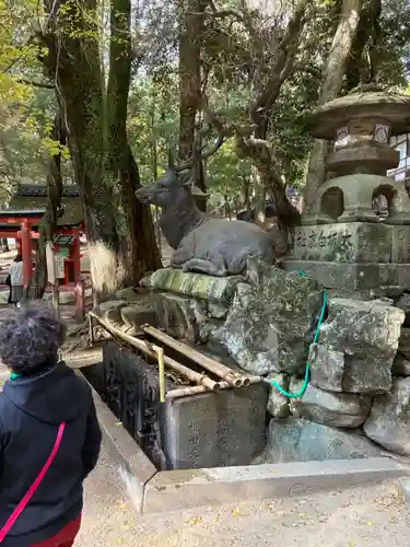 春日大社(奈良県)