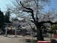 世良田東照宮の{uncategorized: "未分類", other: "その他", undefined: "問題あり", building: "その他建物", grave: "お墓", sacred_gate: "鳥居", guardian: "狛犬", statue: "像", buddha: "仏像", history: "歴史", nature: "自然", garden: "庭園", animal: "動物", pagoda: "塔", temizu: "手水舎", mountain_gate: "山門・神門", sanctuary: "本殿・本堂", subordinate: "末社・摂社", art: "芸術", scenery: "景色", jizo: "地蔵", ema: "絵馬", goshuin: "御朱印", omikuji: "おみくじ", items: "授与品その他", amulet: "お守り", goshuincho: "御朱印帳", eats: "食事", festival: "お祭り", votive_dance: "神楽", shichigosan: "七五三参", wedding: "結婚式", experience: "体験その他", initially: "初詣", around: "周辺", anti_infection: "感染症対策"}