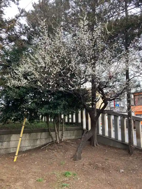 尉殿神社の自然