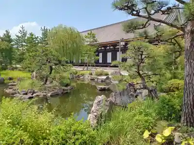 蓮華王院（三十三間堂）(京都府)