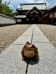 金剛寺(大阪府)