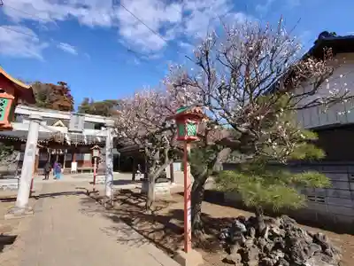 女化神社(茨城県)