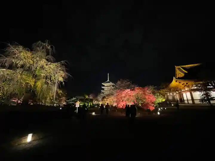 東寺(教王護国寺)(京都府)