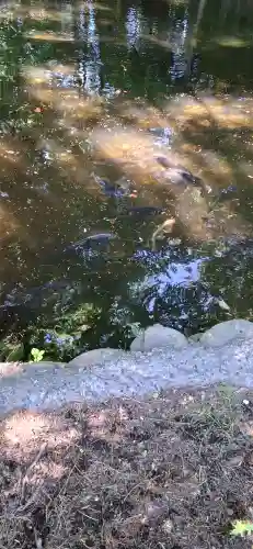 白石神社(北海道)