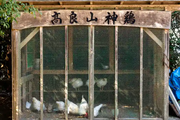 高良大社(福岡県)