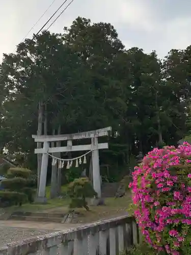 日枝神社の鳥居