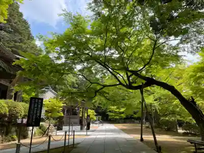 花山院菩提寺(兵庫県)