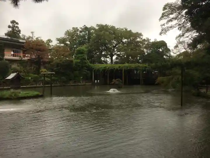 越ヶ谷久伊豆神社の庭園